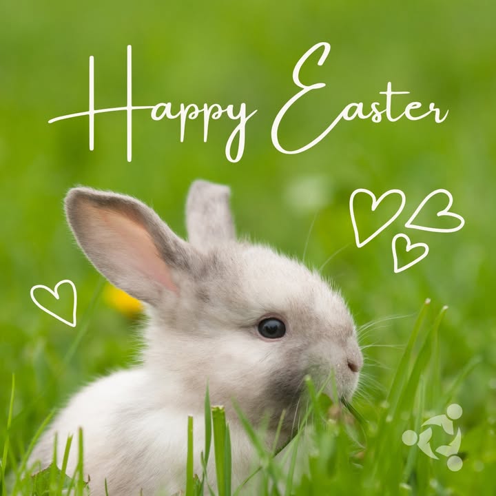 Happy Easter from the Michigan United Credit Union team!